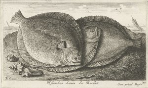 ビーチで 3 つのひよこ Rhombus Laeuis La Barbuë (オブジェクトのタイトル) 魚とその他の海の生き物 - 海水第 3 シリーズ (シリーズ タイトル) Poissons de mer（シリーズタイトル） 作： Albert Flamen