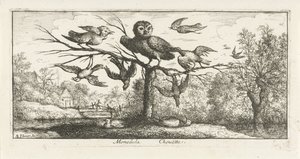 他の鳥の中でメンフクロウのいる風景 モネドゥラ・シュエット。 (オブジェクトのタイトル) バードブック（シリーズタイトル） Livre d