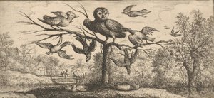 Monedula, Chouëtte The Owl: Livre d