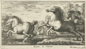 馬 Equus le Cheval (オブジェクトのタイトル) さまざまな動物の種 (シリーズ タイトル) 作： Albert Flamen
