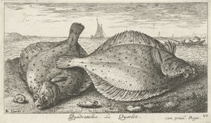 ビーチで 2 つのカレイ 四角形。 ル・キャレ。 (アイテムのタイトル) 魚とその他の海の生き物 - 海水第 3 シリーズ (シリーズ タイトル) Poissons de mer（シリーズタイトル） 作： Albert Flamen