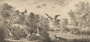 Vanellus、Vanneau The Lapwing: Livre d