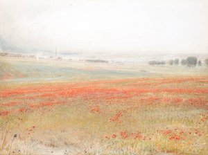 タレ。トウモロコシのポピーソールズベリー 作： Albert Goodwin