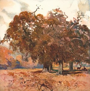 風景、c1904