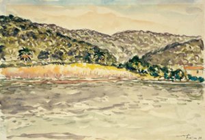 Île de Port Cros の海岸風景 作： Albert Marquet
