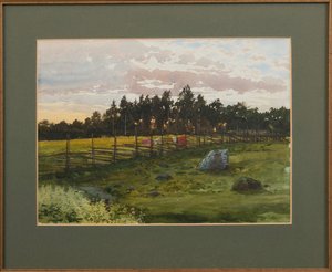 1893年夏の夜