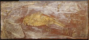死んだ鳥 作： Albert Pinkham Ryder
