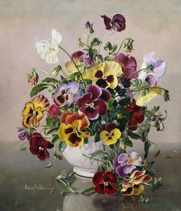 パンジーのある静物画 作： Albert Williams