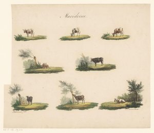 Koeien in landschap Macédoine (title on object)   1344377   ja       japanese Successfully Translated  Original: Volwassen man The Compleat Work of Etchings by John Chalon / Oeuvre Complette des Eaux Fortes par Jean Chalon (series title) Translat: Volwasse 作： Albertus Verhoesen