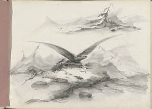 山と海岸の上を飛んでいるワシ 作： Albertus van Beest