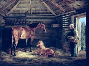 彼女の子馬とイギリスの馬、1833 作： Albrecht Adam