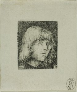 若い男の頭 作： Albrecht Altdorfer