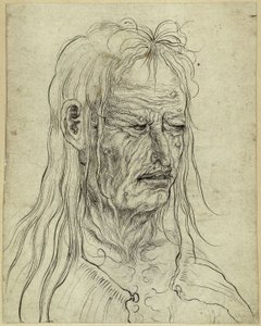  作： Albrecht Altdorfer