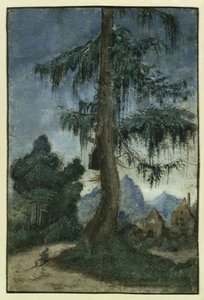 トウヒのある風景（1522年頃 作： Albrecht Altdorfer