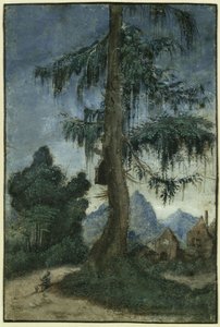  作： Albrecht Altdorfer