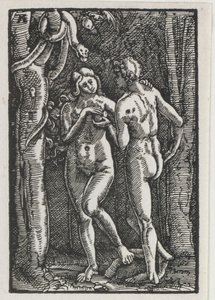 人間の堕落と贖い：禁断の果実を食べるアダムとイブc。 1513。 作： Albrecht Altdorfer