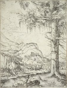 大きなトウヒ、1520年頃 作： Albrecht Altdorfer