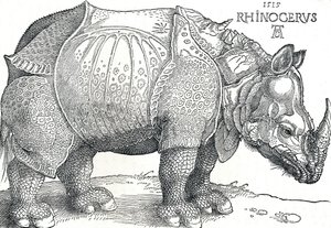 サイ、1515、1906 作： Albrecht Dürer