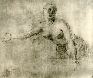研究、1913 作： Albrecht Dürer