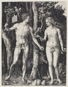 アダムとイブ 作： Albrecht Dürer