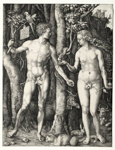 アダムとイブ 作： Albrecht Dürer