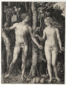 アダムとイブ 作： Albrecht Dürer