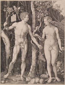  作： Albrecht Dürer