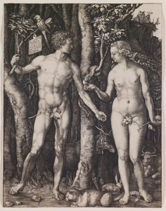  作： Albrecht Dürer