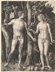  作： Albrecht Dürer