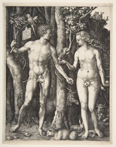  作： Albrecht Dürer
