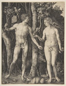 作： Albrecht Dürer