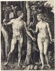アダムとイブ 作： Albrecht Dürer
