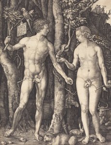 アダムとイブ、1504 年。 作： Albrecht Dürer