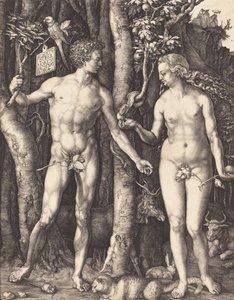 アダムとイブ、1504 年。 作： Albrecht Dürer