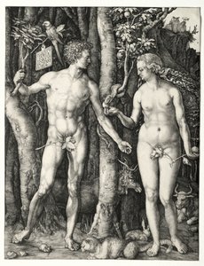アダムとイブ、1504。 作： Albrecht Dürer
