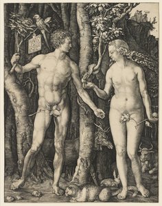 アダムとイブ、1504 作： Albrecht Dürer