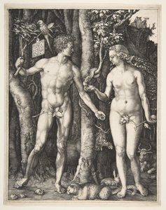 アダムとイブ、1504。 作： Albrecht Dürer
