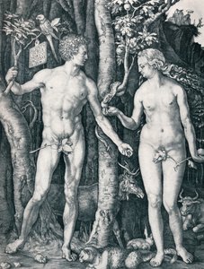 アダムとイブ、1504 1906 作： Albrecht Dürer