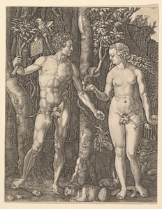 アダムとイブ、1566。 作： Albrecht Dürer