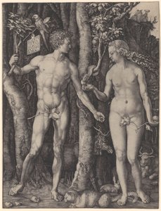  作： Albrecht Dürer