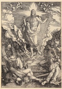  作： Albrecht Dürer