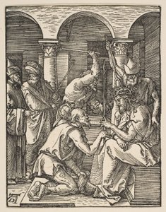  作： Albrecht Dürer