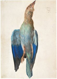 デッドブルーローラー、1500または1512 作： Albrecht Dürer