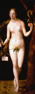 イブ、1507 作： Albrecht Dürer