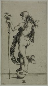 運 作： Albrecht Dürer