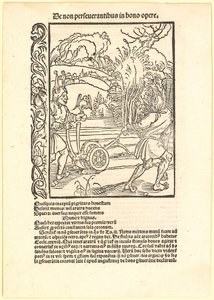  作： Albrecht Dürer