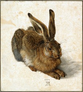 うさぎ（レタッチ） 作： Albrecht Dürer