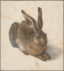 ヘアー、1502年