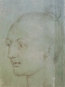 若い女性の頭（緑の紙に白いチョークで黒チョークを高くしたもの） 作： Albrecht Dürer