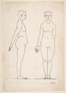 デューラーの「人間の比率に関する 4 冊の本」からの図解、ニュルンベルク、1528.n.d. 作： Albrecht Dürer